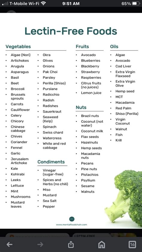 Lectin Free Diet