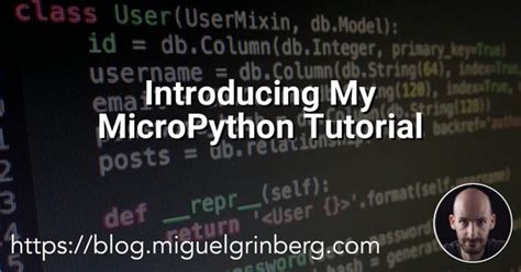 MicroPython Tutorial 的图像结果