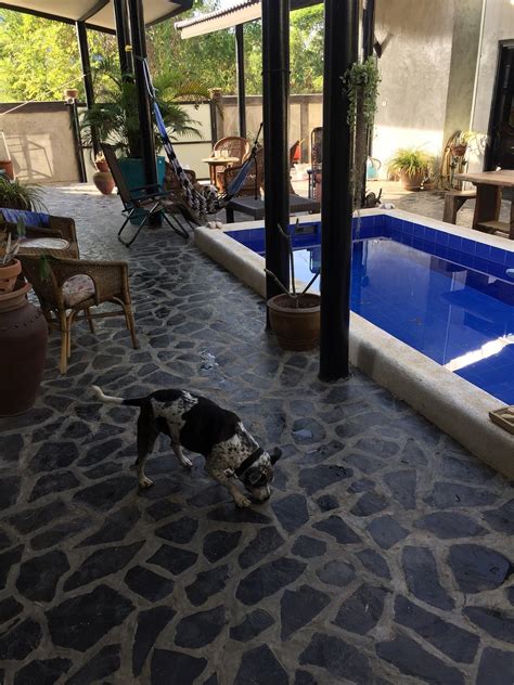 THE BEACH HOUSE BUNGALOWS (Pak Nam Pran) - Lodge Reviews & Photos ...