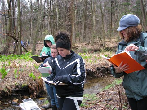 Image result for Remote Visual Assessment