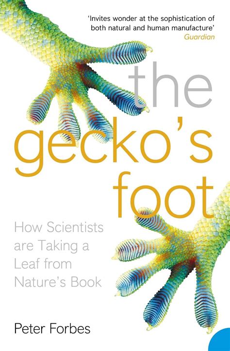 Buy The Gecko's Foot Book Online at Low Prices in India | The Gecko's ...