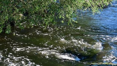 Image result for River Table Project