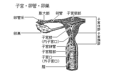 Image result for Virtual Science Lab