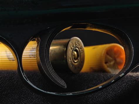 Image result for Shot Shells Bullets