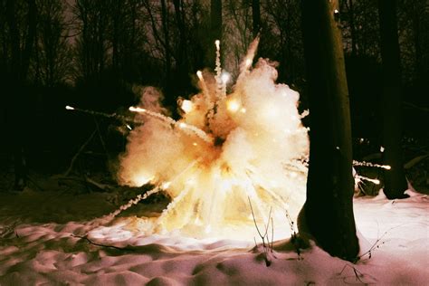 Exploding Tree Cold 的图像结果