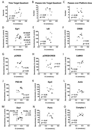 Sex-Specific Effects of Chronic Creatine Supplementation on Hippocampal ...