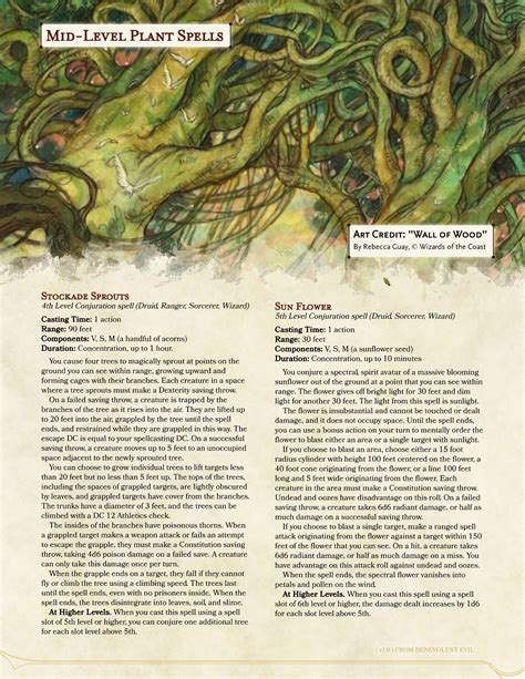 Dnd 5e Best Druid Spells