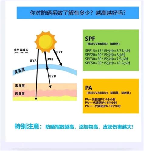 Java FFM 的图像结果