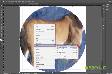 Image result for InDesign Sticker Tuto