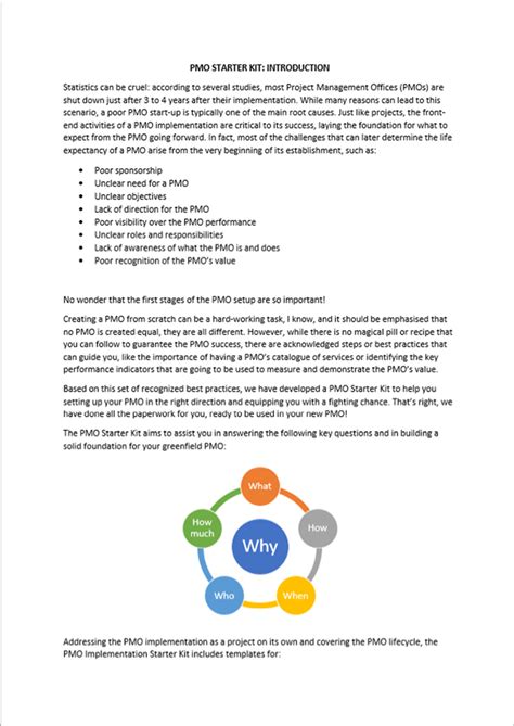Image result for PMO Template Examples