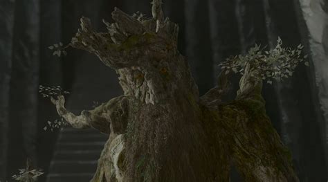 Image result for Treebeard Wallpaper