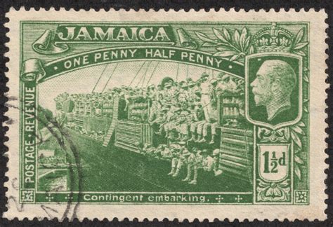 Food Stamps Jamaica Ny at Sophia Wiseman blog