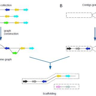 Algorithm Examples Pataas 的图像结果