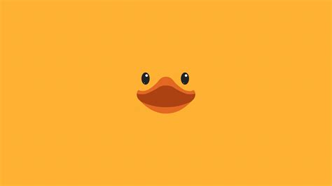 Duck Wallpapers