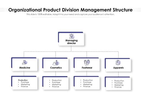 Divisional Structure Model 的图像结果
