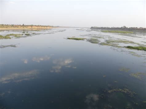 Wainganga River: Threatened lifeline of Vidarbha’s Forests – SANDRP