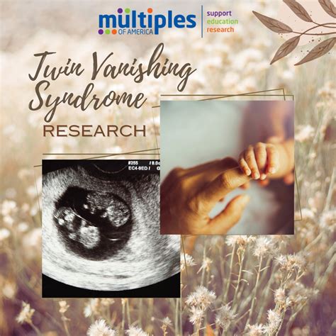 Multiples of America on LinkedIn: Vanishing Twin Syndrome: It’s a sadness in the midst of joy. A ...