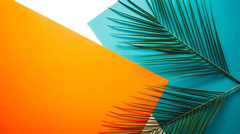 Orange Pastel Color Green Leaves Squares Minimalist Art HD Minimalist ...