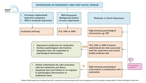 Principles of Antidepressant Prescribing in Pregnancy and Postnatal Period