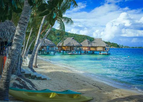 Image result for paradise