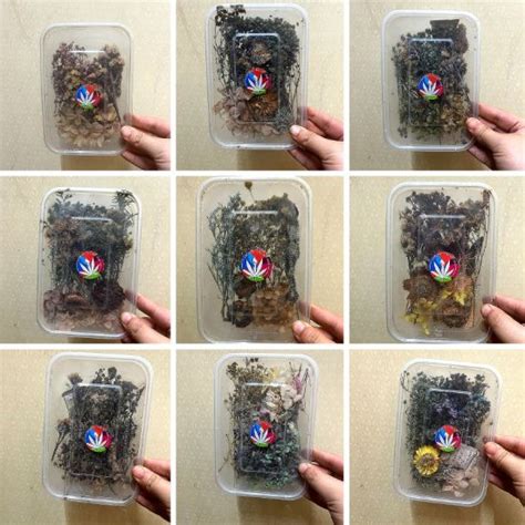 Arteria. Random 3D flower box [Minor discolouration]