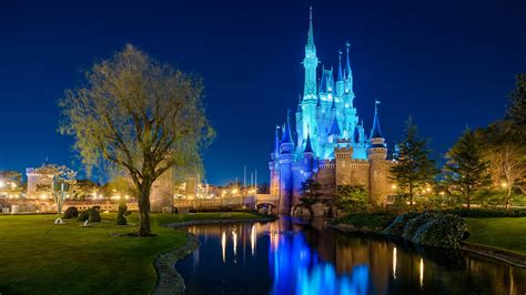 Image result for Disney World Computer System