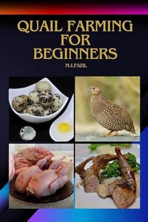 Quail Farming for Beginners: How to Start a Quail Farm eBook : Fazil ...