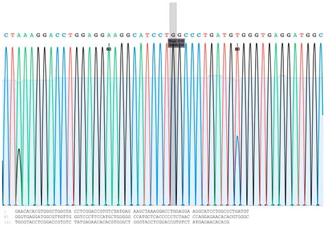 Single-Nucleotide Polymorphisms of Growth Hormone Gene and Its ...