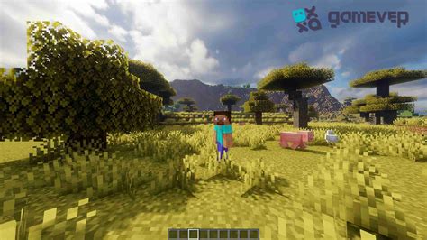 Image result for Minecraft Camera Mod