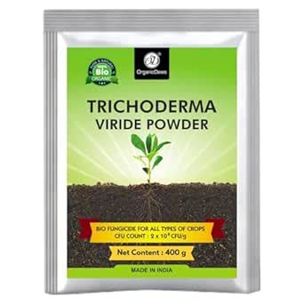 OrganicDews Trichoderma Viride Powder 400 g (2 x 10^8 CFU per Gram) Bio ...
