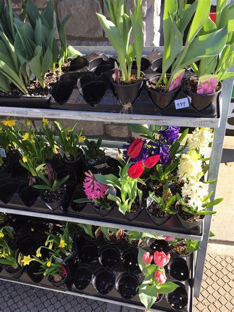 FRED MEYER PHARMACY - 30300 SW Boones Ferry Rd, Wilsonville OR - Hours ...