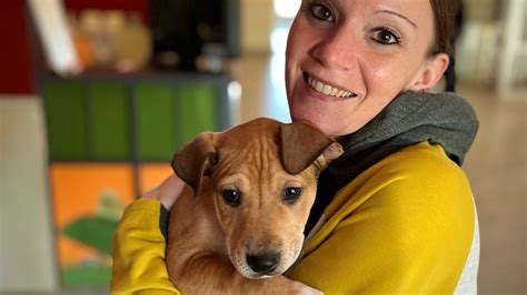 Wisconsin Humane Society Ozaukee Campus has reopened for adoptions