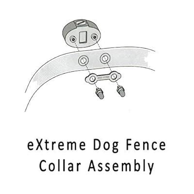 Underground Electric Dog Fence Ultimate - Extreme | Ubuy India