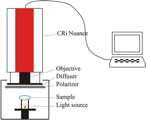 Multispectral Imaging Tutorial 的图像结果