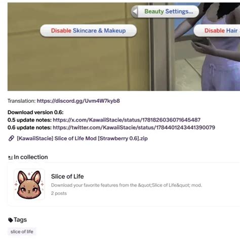 Image result for How to Install Slice of Life Mod