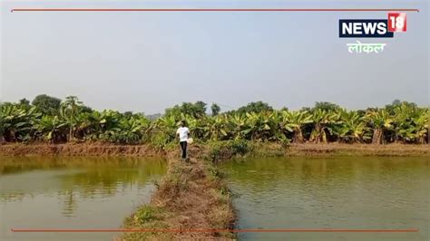Success Story: 10 लाख से ज्यादा कमाई...बिहार के इस किसान ने मछली पालन ...