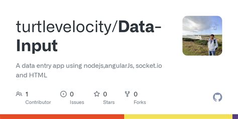 Image result for Data Input Project