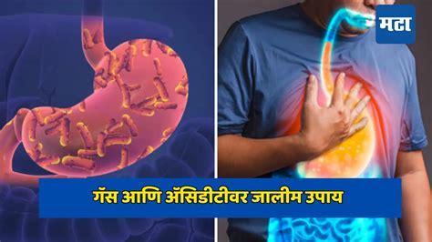 how to get rid of gas and bloating amazing benefits of fennel seeds;गॅस ...