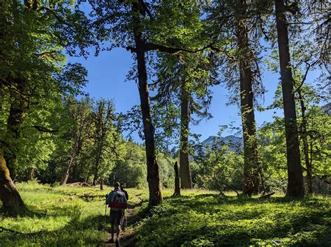 Outdoor Activity 的图像结果