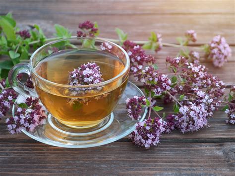 How to Grow Oregano: Simple Steps for Thriving Plants - sassyherbgarden.com
