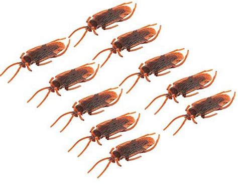RVM Toys Set of 10 Fake Plastic Realistic Cockroach Halloween Prank Toy ...