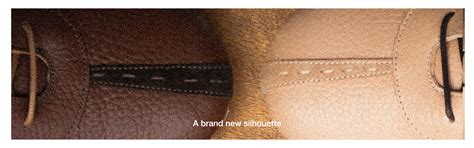 New Launch – Gully Labs