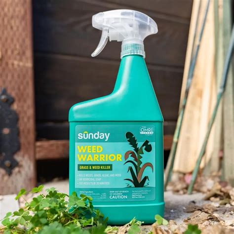 5 Best Organic Weed Killer That Also Work | Family Handyman