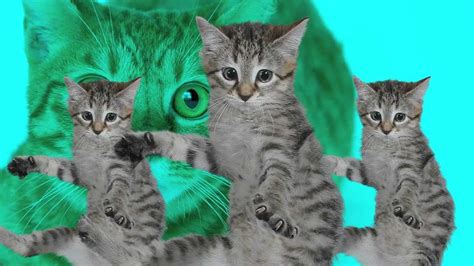 Image result for Alien Tripod Force Feild