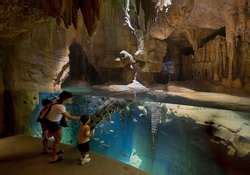 ZooLex Exhibit - Madagascar!