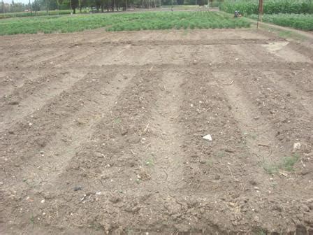 Major Areas :: Watershed Management