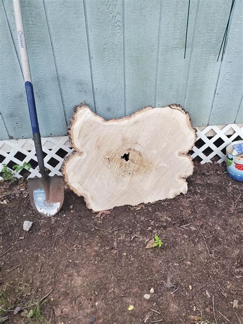 Image result for Rotting Problem