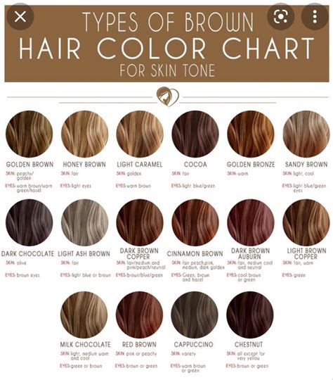 Pin by Stephanie on Hair colour charts | Types of brown hair, Brown ...
