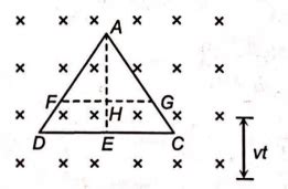 An equilateral triangular loop A D C having some resistance is pulled ...
