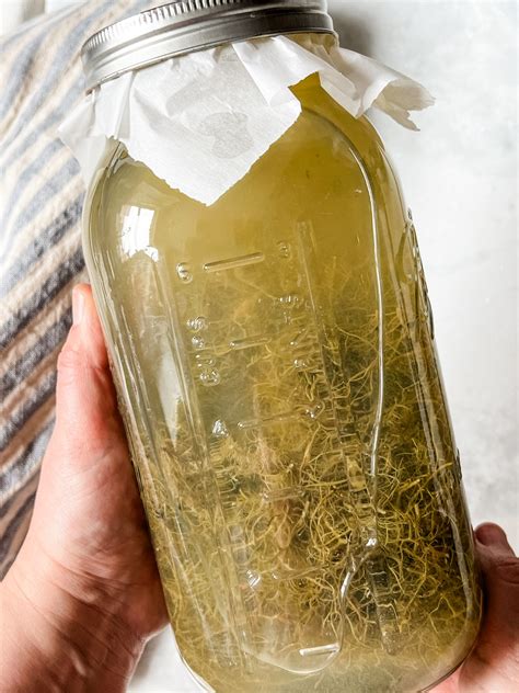 Usnea Tincture Recipe + Benefits - ALONG THE MEADOW